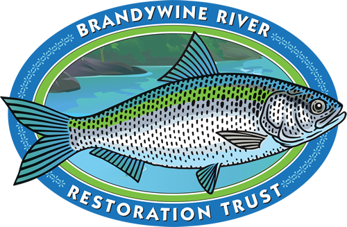 Brandywine River Restoration Trust logo