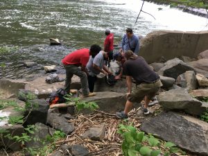 Andrew Homsey sees American shad caught at Brandywine Dam 2 in Wilmington Del. Apr 29 2021