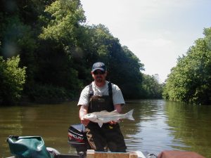 DNREC Matt Fisher catches striped bass in the White Clay Creek, May 2010
