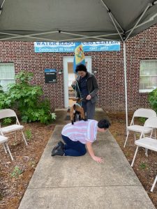 Goat at Bratfest 2024