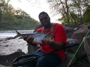 Musky Mike catches an American Shad at Brandywine Dam No. 2 May 6 2020