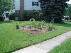 Smartyard, Newark , DE, Jun 2003