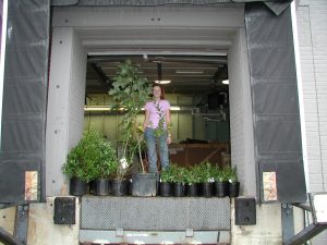 Smaryard delivery, Oct 2002