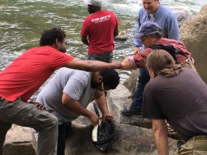 TKO and Musky Mike and Jim catching shad at Brandywine Dam No. 2 Apr 29 2021