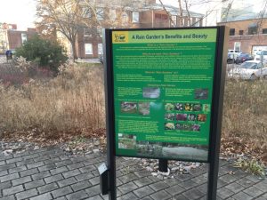 UD Rain Garden Beauty Dec 7 2018