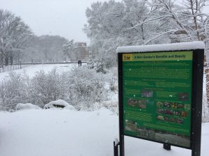 UD Rain Garden in winter Mar 21 2018