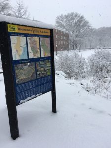 UD Rain Garden in winter Mar 21 2018