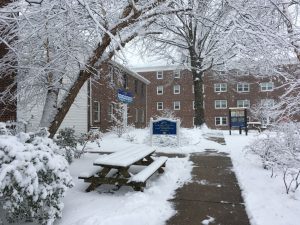 UD Rain Garden in winter Mar 21 2018