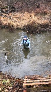 UD Energy and Environmental Policy Grad Student Kelly Jacobs conducts research along White Clay Creek National Wild and Scenic River Winter 2020