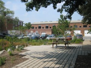 UD Rain Garden Observation Deck, Aug 2006