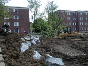 UD Rain Garden, May 2005