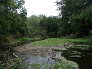 White Clay Creek at Newark Drought of Record, August, 23 2002