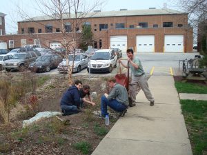 Working at the UD rain garden, Apr 2008