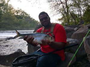 American river Shad Fishing 